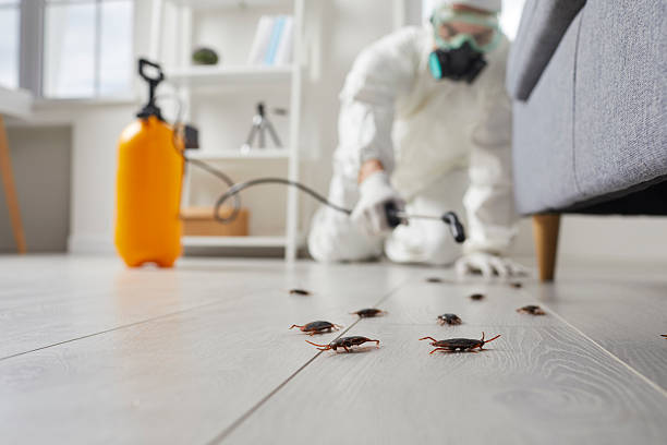 Commercial Rodent Management in Limestone
